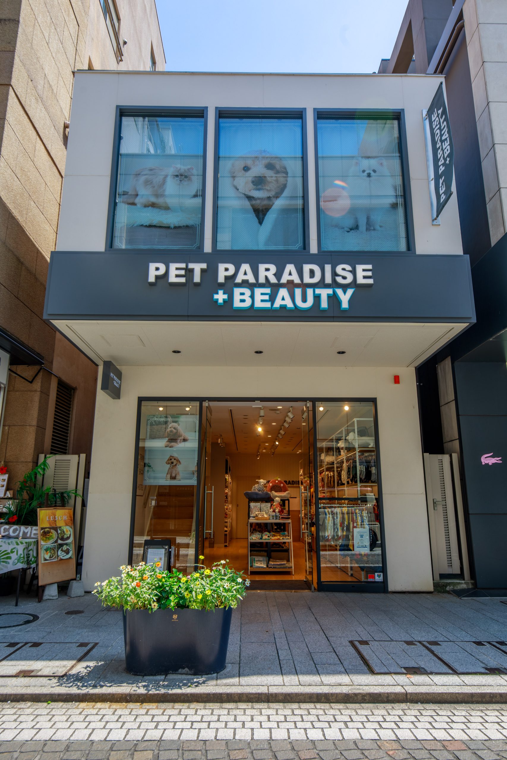 PET PARADISE + BEAUTY 横浜元町店